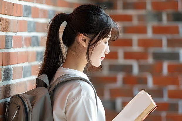 岭南师范学院艺术类专业有哪些?
