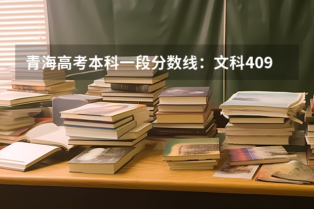 青海高考本科一段分数线：文科409（广东外语外贸大学2+2国际班录取分数线）