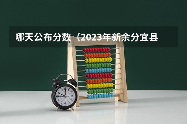 哪天公布分数（2023年新余分宜县中考普高录取分数线）