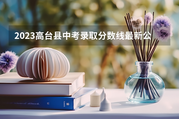 2023高台县中考录取分数线最新公布（附往年福建985大学录取分数线位次）