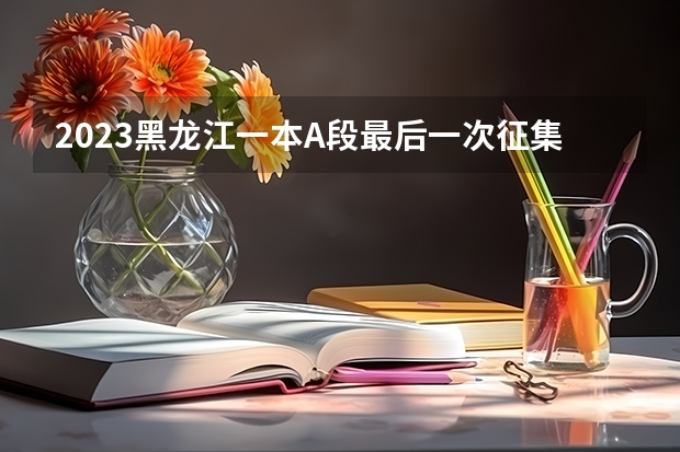 2023黑龙江一本A段最后一次征集志愿投档分数线（2023常宁中考录取分数线最新公布）