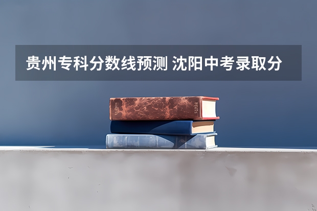 贵州专科分数线预测 沈阳中考录取分数线2023年