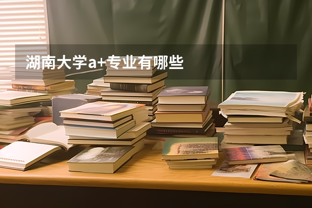 湖南大学a+专业有哪些