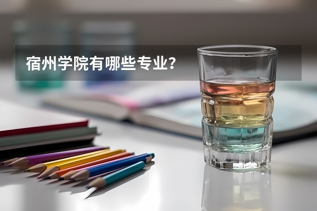 宿州学院有哪些专业？