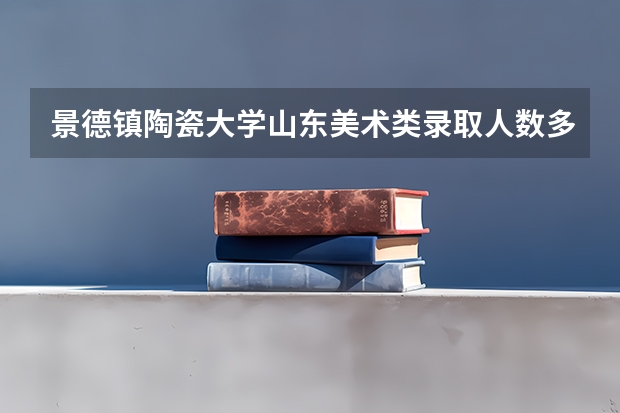 景德镇陶瓷大学山东美术类录取人数多少