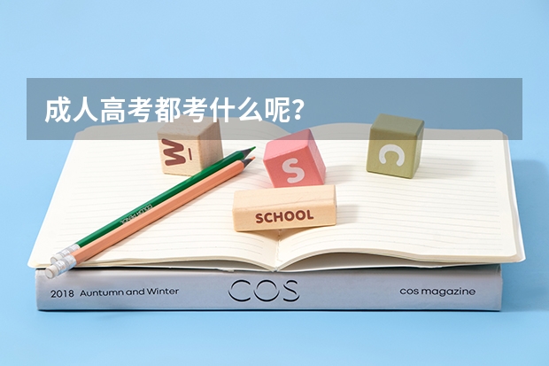 成人高考都考什么呢？