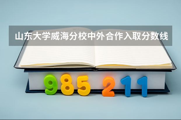 山东大学威海分校中外合作入取分数线是多少？