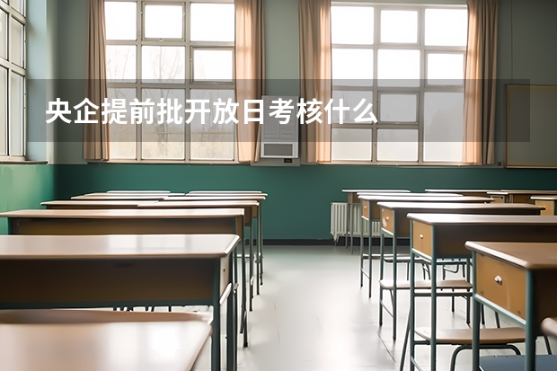 央企提前批开放日考核什么