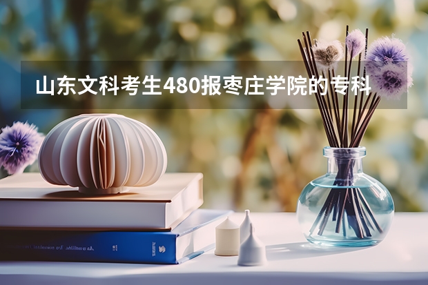 山东文科考生480报枣庄学院的专科能上么？还有怎么进行校内专升本？