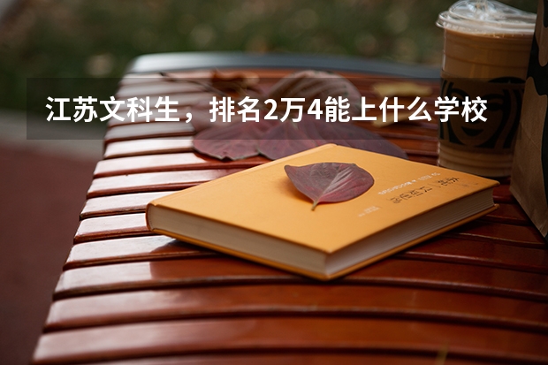 江苏文科生，排名2万4能上什么学校