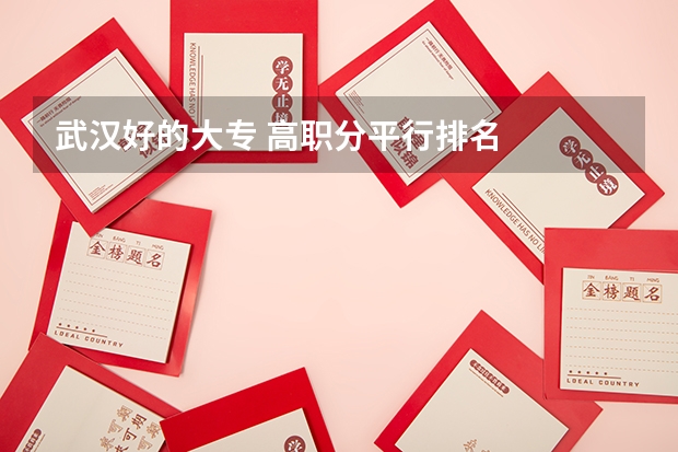 武汉好的大专 高职分平行排名