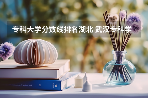 专科大学分数线排名湖北 武汉专科学校分数线2023