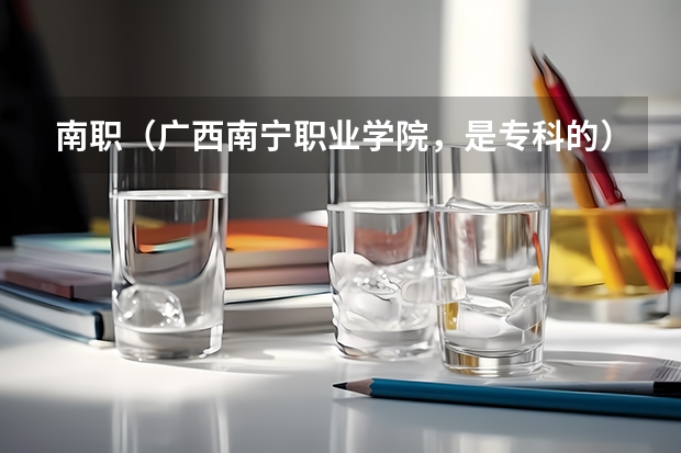 南职（广西南宁职业学院，是专科的）录取分数线是多少？