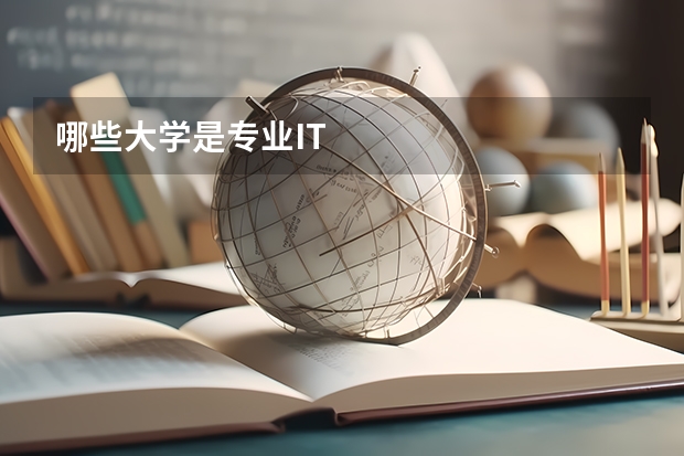 哪些大学是专业IT