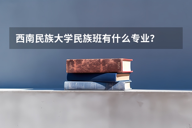 西南民族大学民族班有什么专业?