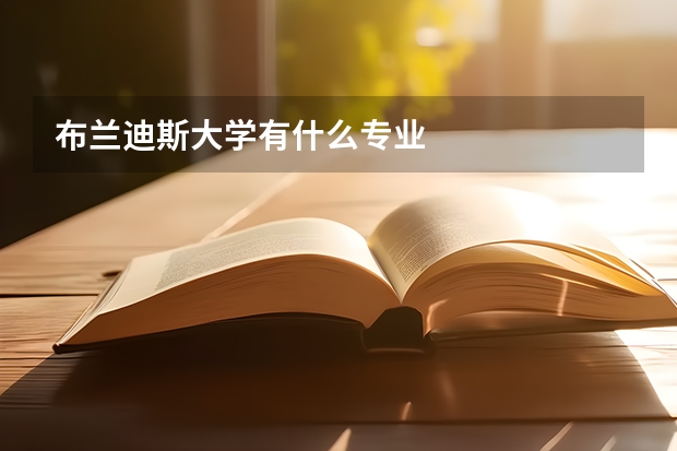 布兰迪斯大学有什么专业