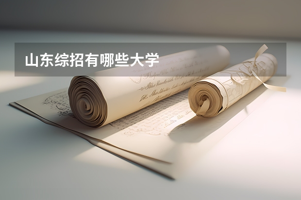 山东综招有哪些大学