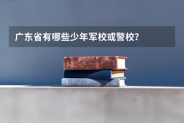 广东省有哪些少年军校或警校？