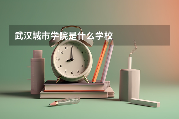 武汉城市学院是什么学校
