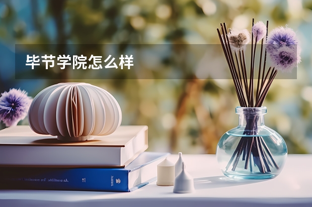 毕节学院怎么样
