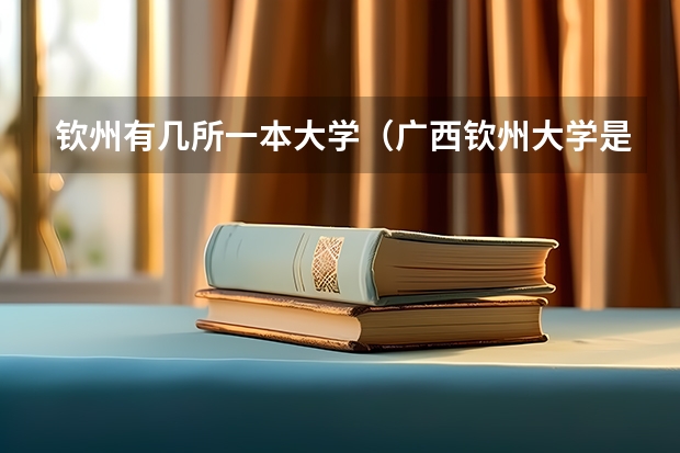 钦州有几所一本大学（广西钦州大学是几本）