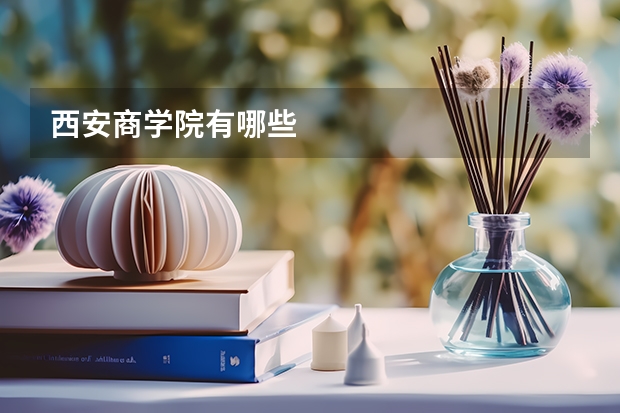 西安商学院有哪些