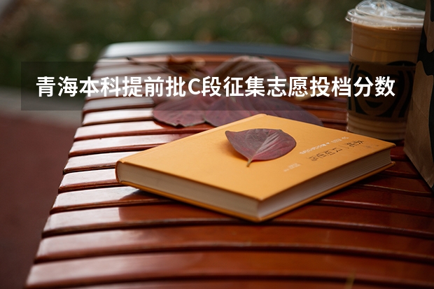 青海本科提前批C段征集志愿投档分数线 2023年德州中考市属学校录取等级要求级分数线是多少