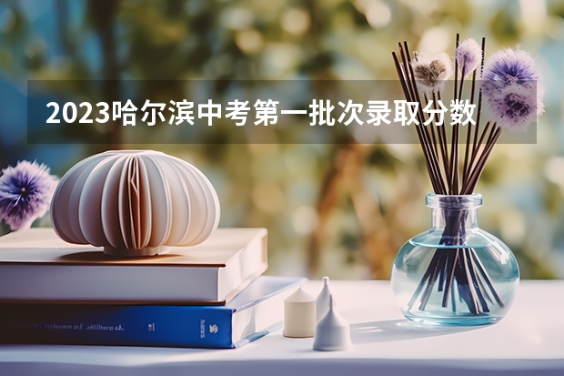 2023哈尔滨中考第一批次录取分数线公布 2023临沂莒南县中考录取分数线公布