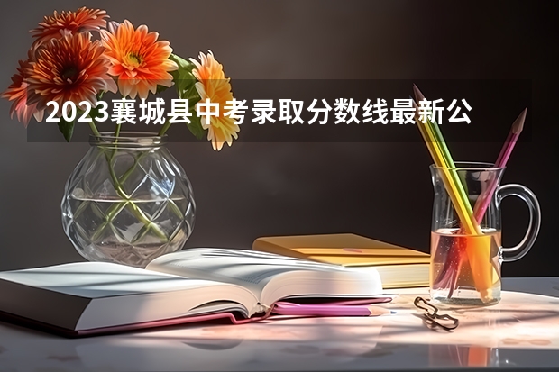 2023襄城县中考录取分数线最新公布（四川外国语大学2+2国际本科分数线）
