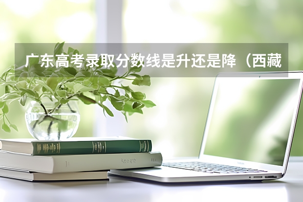 广东高考录取分数线是升还是降（西藏高考二本分数线公布：文科325）