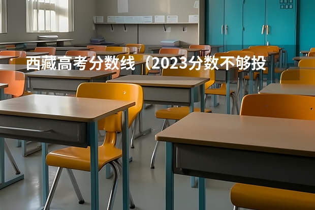 西藏高考分数线（2023分数不够投档线可不可以被录取）
