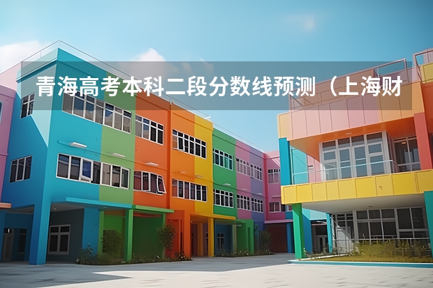 青海高考本科二段分数线预测（上海财经大学3+1国际本科录取分数线）