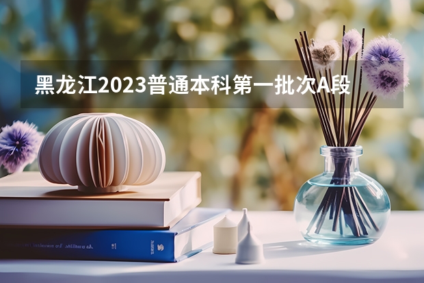黑龙江2023普通本科第一批次A段平行志愿投档分数线（2023肇庆中考第二批普高录取分数线公布）